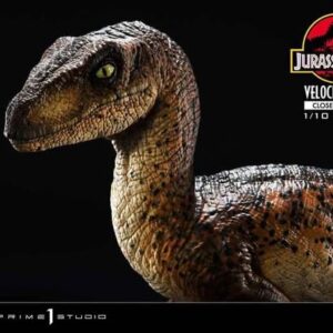 Velociraptor