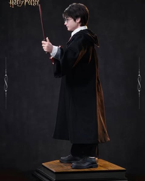 Harry Potter - Ảnh 2