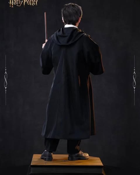 Harry Potter - Ảnh 3