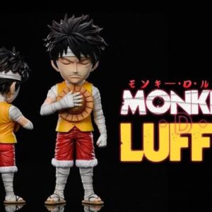 Luffy 3D2Y